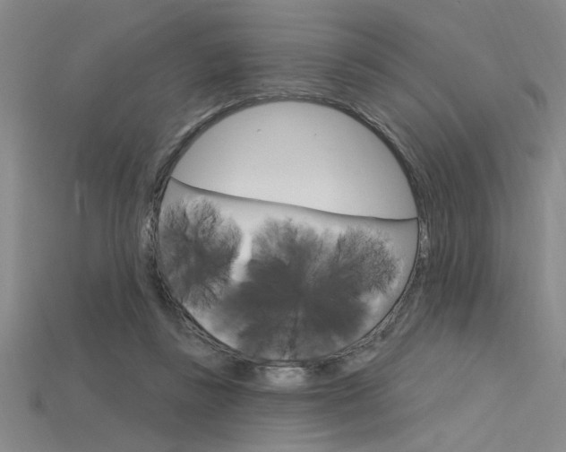 X0000115810355200911131047
