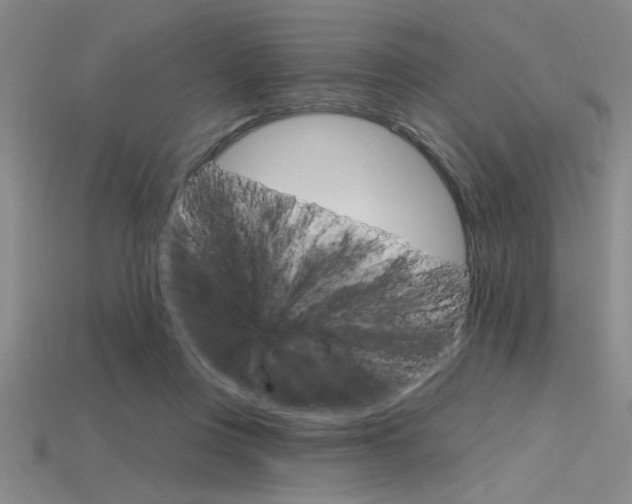 X0000115810359200911131047