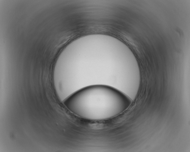 X0000115810362200911131047