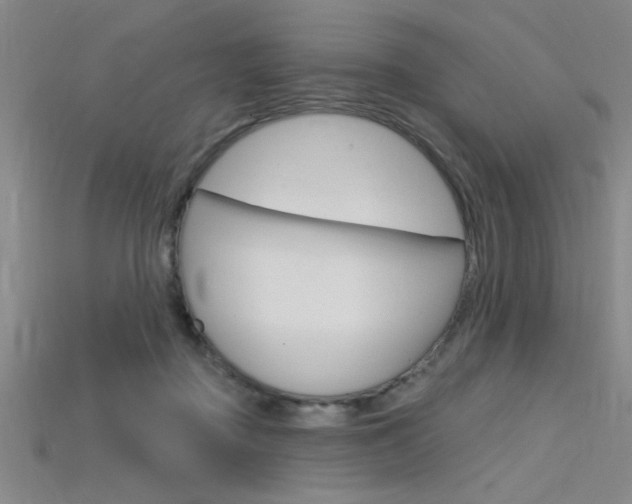 X0000115810363200911131047