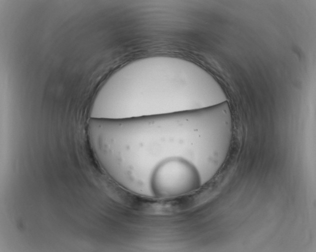 X0000115810366200911131047
