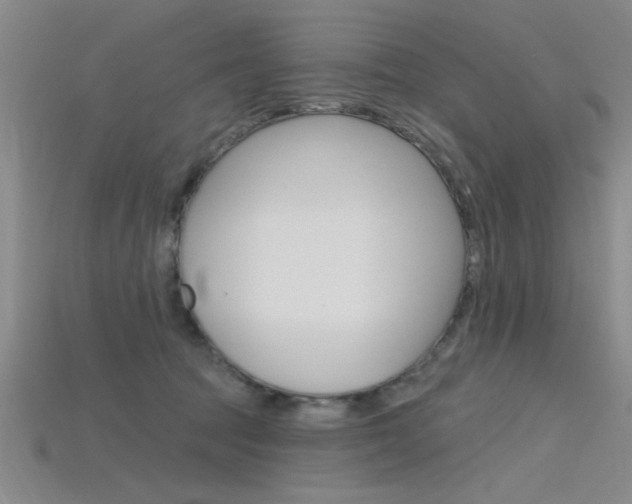 X0000115810369200911131047