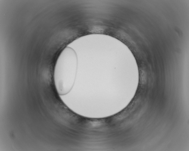 X0000115810370200911131047