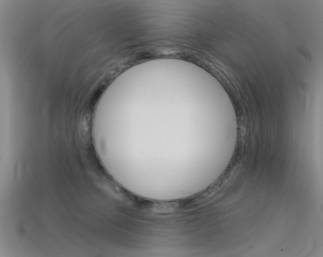 X0000115810373200911131047