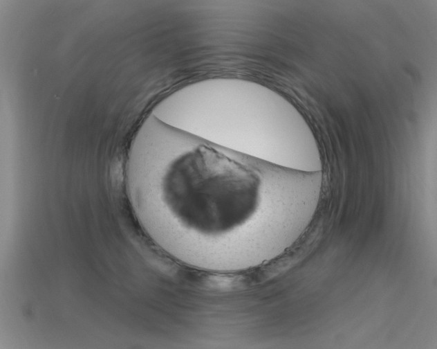 X0000115810375200911131047