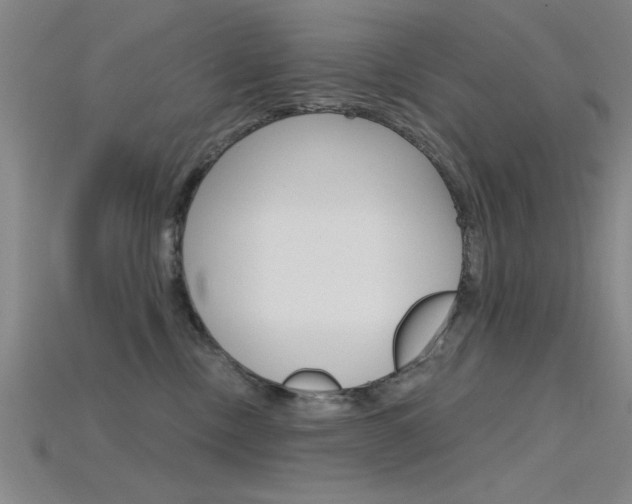X0000115810378200911131047