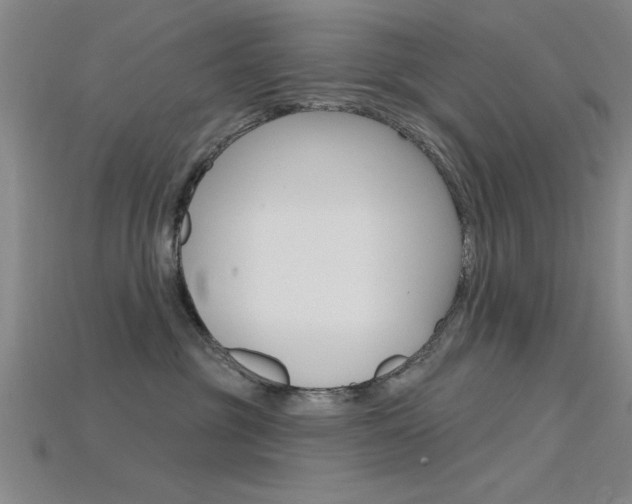 X0000115810381200911131047