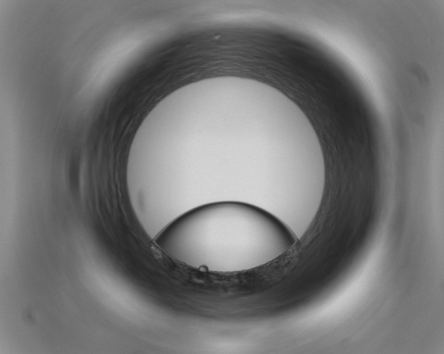 X0000115810382200911131047
