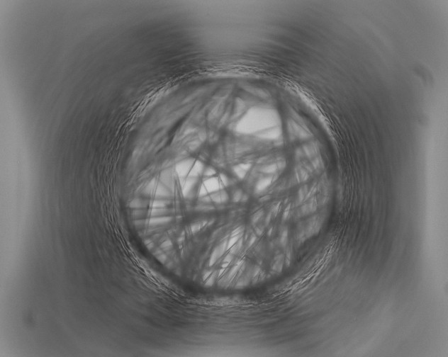 X0000115810385200911131047