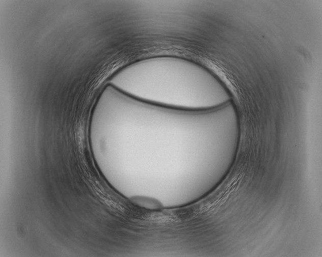X0000115810386200911131047