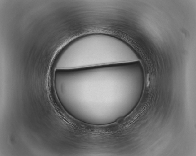 X0000115810388200911131047