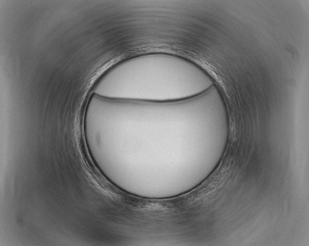 X0000115810390200911131047