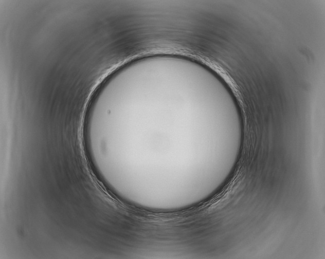 X0000115810391200911131047