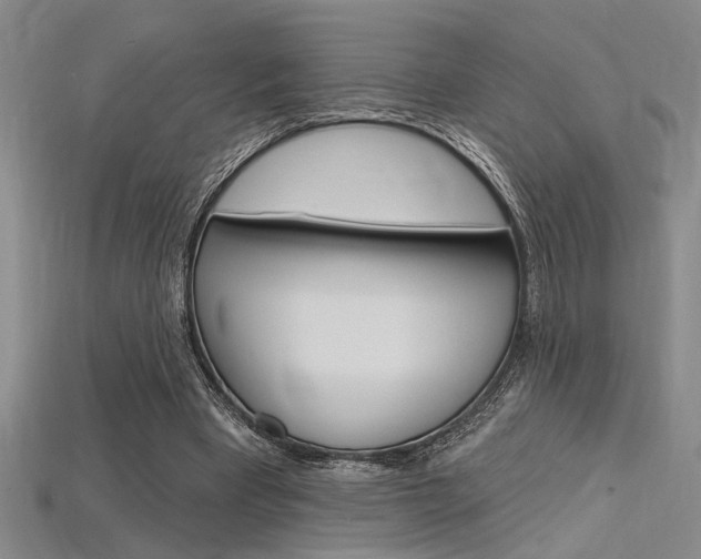 X0000115810393200911131047