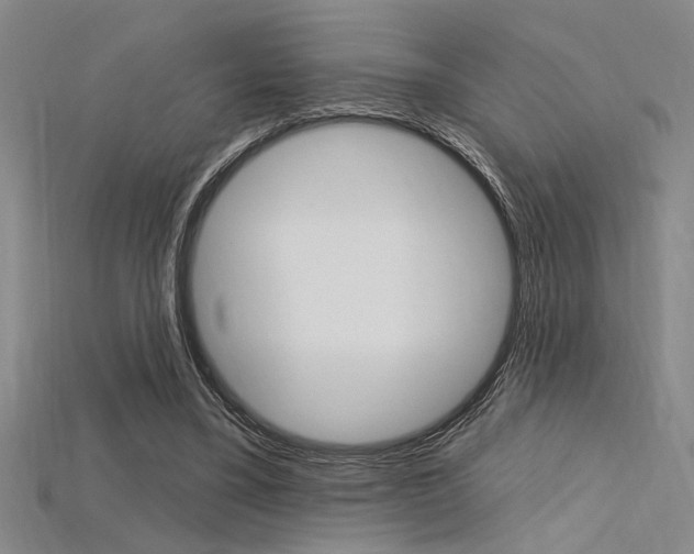 X0000115810395200911131047
