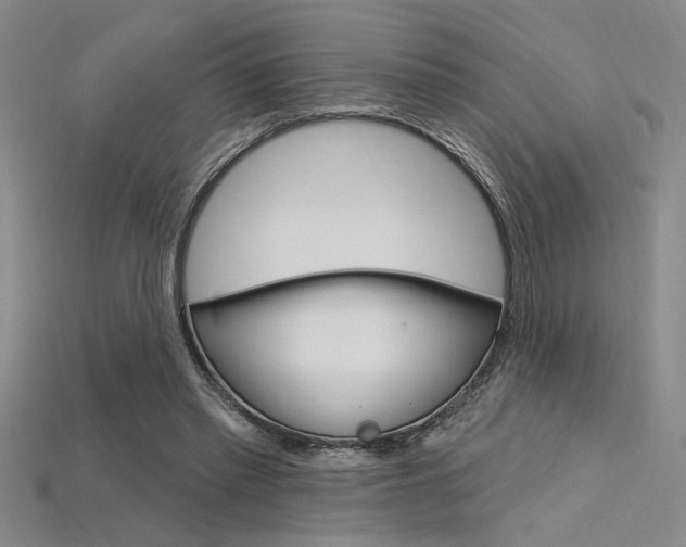 X0000115810397200911131047