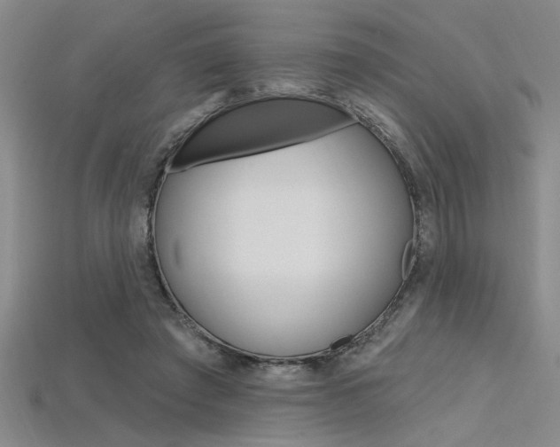 X0000115810401200911131046