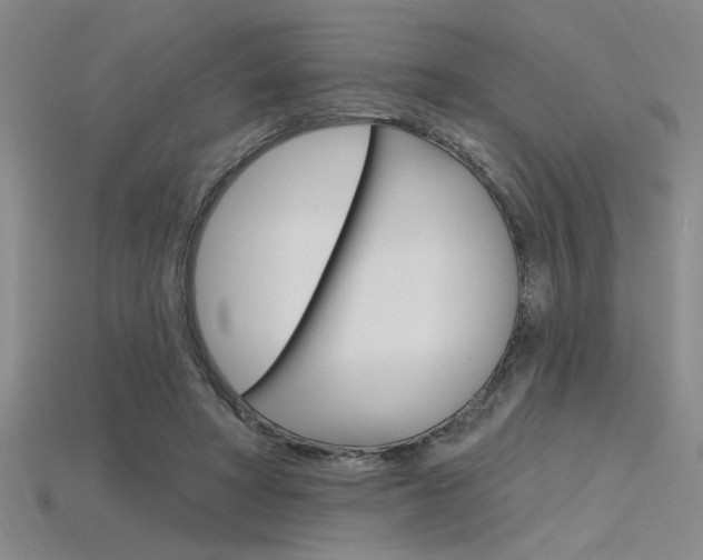 X0000115810402200911131046