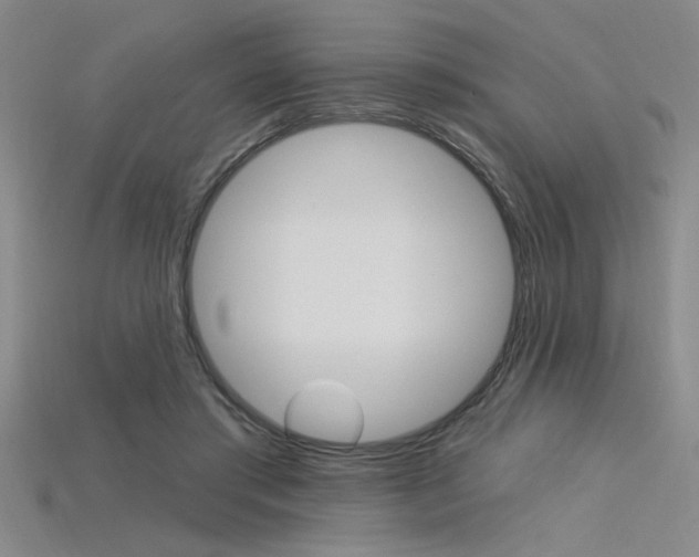 X0000115810405200911131046