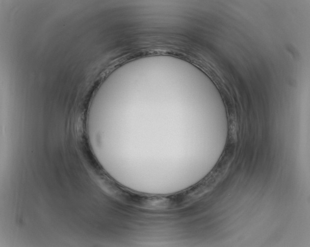 X0000115810410200911131046