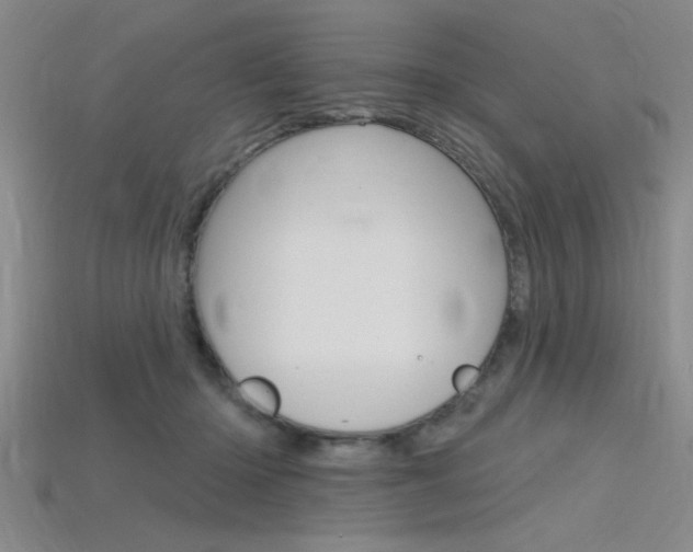 X0000115810414200911131046