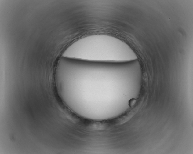 X0000115810416200911131046