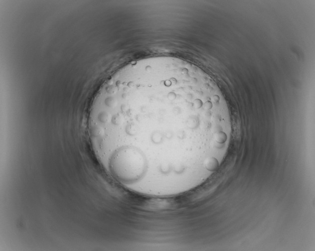X0000115810418200911131046