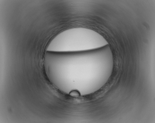X0000115810420200911131046