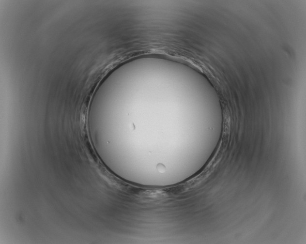 X0000115810427200911131046