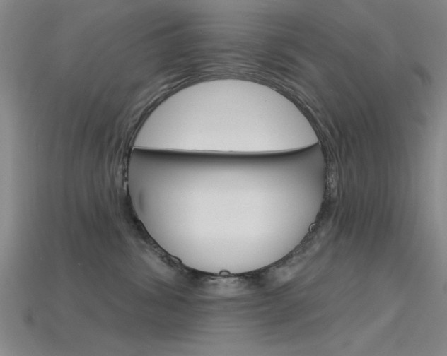 X0000115810428200911131046