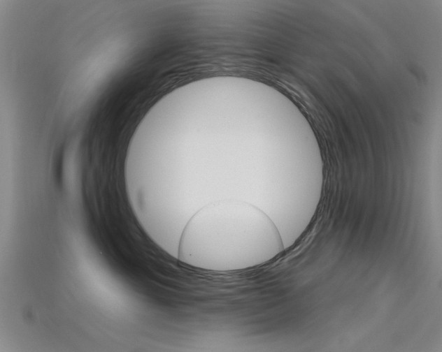X0000115810429200911131046