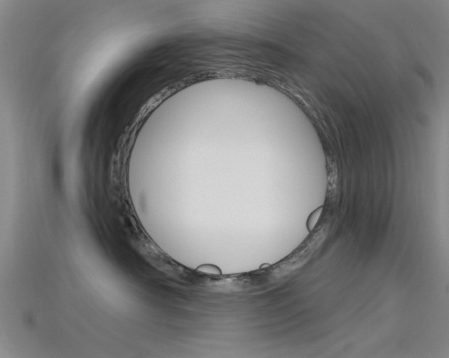 X0000115810430200911131046