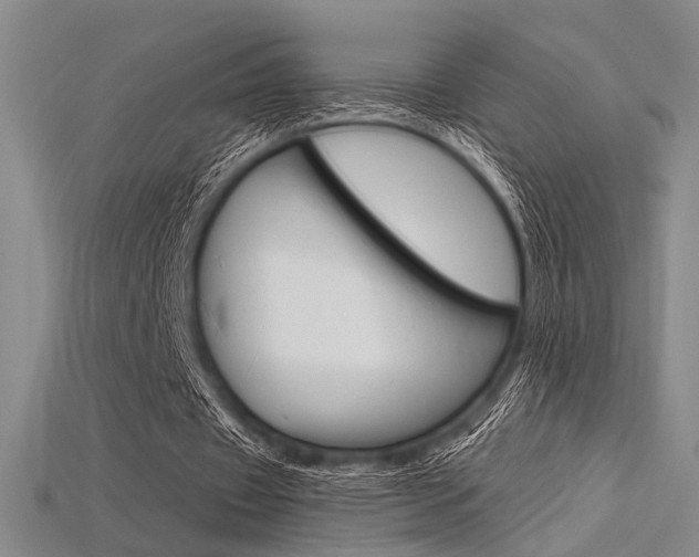 X0000115810433200911131045