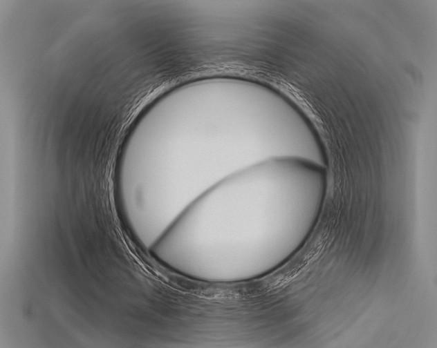 X0000115810434200911131045