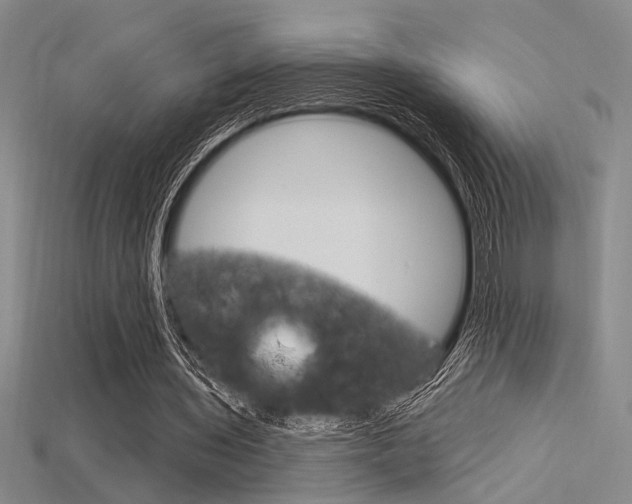 X0000115810435200911131045