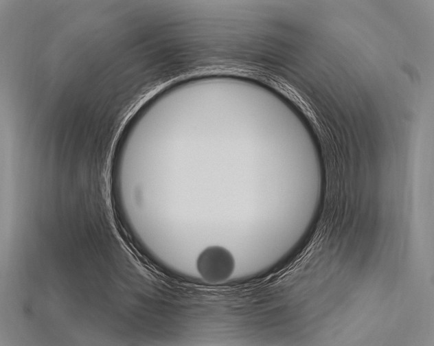 X0000115810436200911131046
