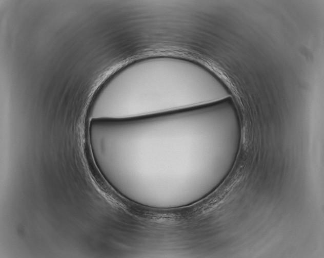 X0000115810438200911131046