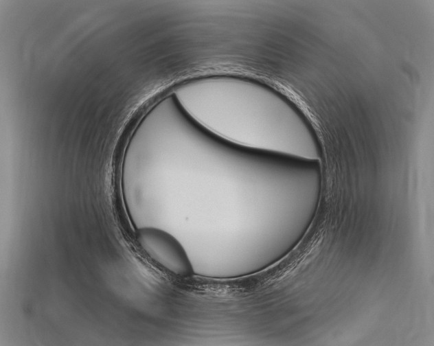 X0000115810439200911131046