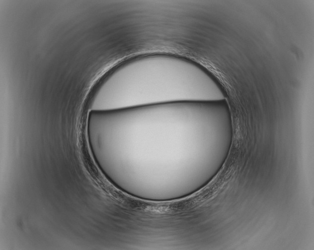X0000115810440200911131046