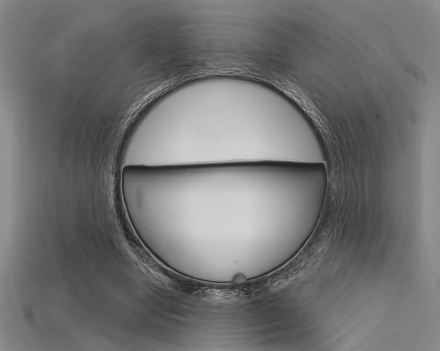 X0000115810442200911131046