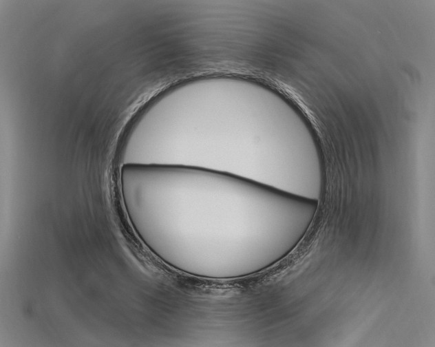 X0000115810443200911131046