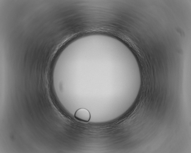 X0000115810444200911131046