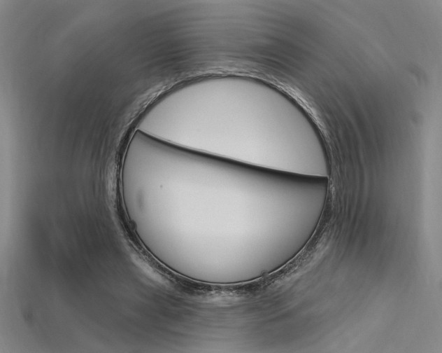 X0000115810445200911131046