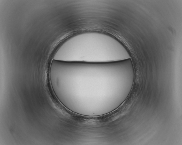 X0000115810446200911131046
