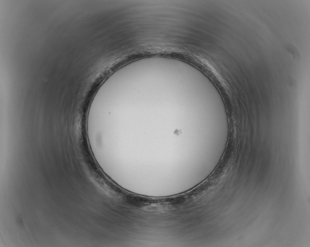 X0000115810447200911131046