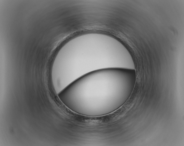 X0000115810448200911131046
