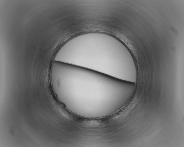 X0000115810449200911131046