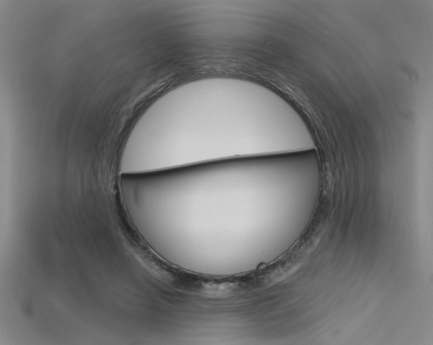 X0000115810450200911131046
