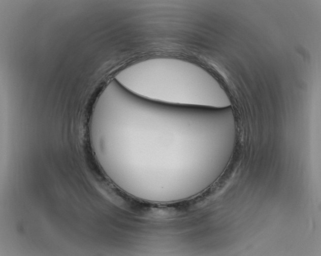 X0000115810455200911131046