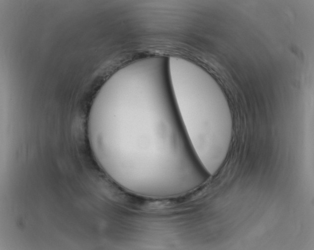 X0000115810461200911131046